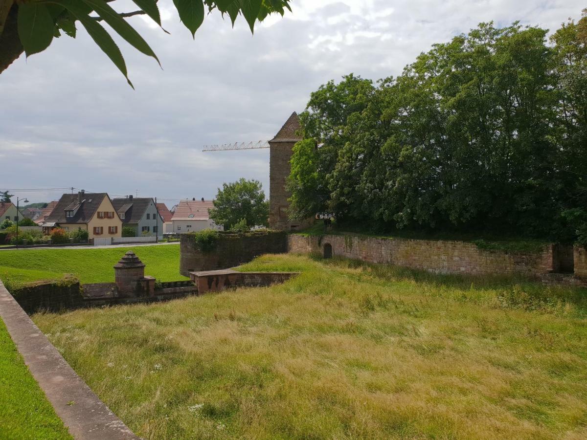 Au Repos Des Remparts Apartment Wissembourg Luaran gambar